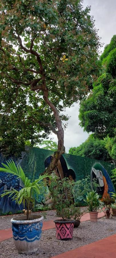 Aldeia Hostel II มาเนาส์ ภายนอก รูปภาพ