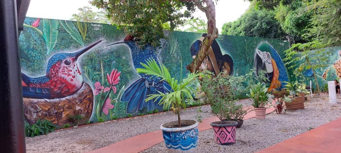 Aldeia Hostel II มาเนาส์ ภายนอก รูปภาพ
