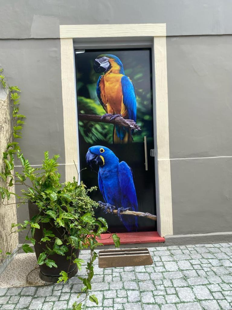 Aldeia Hostel II มาเนาส์ ภายนอก รูปภาพ